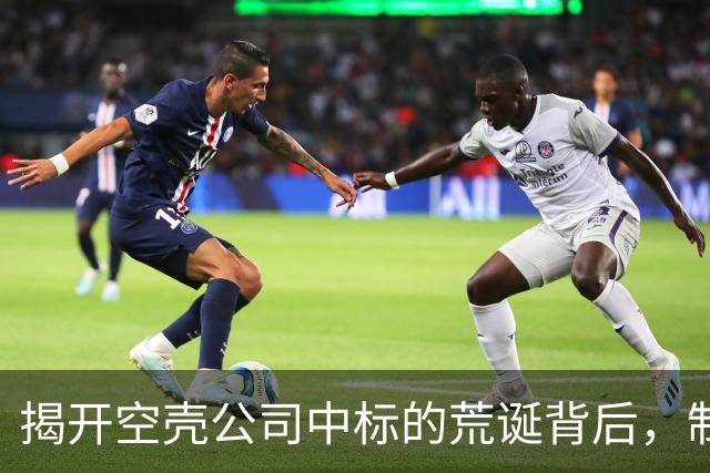 揭开空壳公司中标的荒诞背后，制度失灵的踪迹